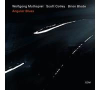 WOLFGANG/COLLEY,SCOTT/BLADE,BRIAN MUTHSPIEL - ANGULAR BLUES CD NEW