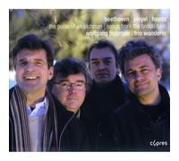 Wolfgang Holzmair & Trio Wanderer - The Pulse Of An Irishman - Songs By Beethoven, Haydn, Pleyel