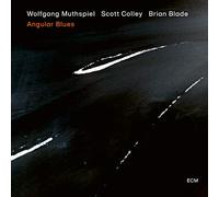 Wolfgang Muthspiel - Angular Blues (LP) [VINYL]