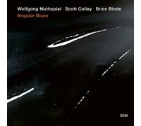 Wolfgang Muthspiel - Angular Blues - SHM