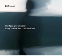 Wolfgang Muthspiel - Driftwood