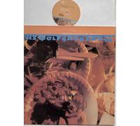 WOLFGANG PRESS - WOLFGANG PRESS - MAMA TOLD ME NOT TO COME - 12 INCH VINYL