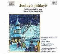 Wolfgang Ruebsam-Organ - Jouluyö juhlayö (CD)