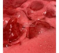 Wolfgang Tillma Can't Escape Into Space (Honey Djon's Euphor (Vinyl) (US IMPORT)