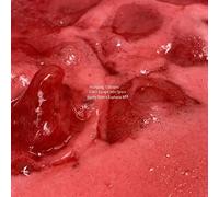 Wolfgang Tillmans - Can't Escape into Space (Honey Dijon's Euphoria Mix) [VINYL]