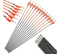 wolfman 12Pcs Carbon Arrows 33.38" - 500 Spine 4.2mm ID Shaft with 100 Grain Points for Recurve & Compound Bows