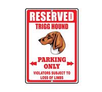 Wolfsheim The Sparrows & Nightingales (Vinyl)