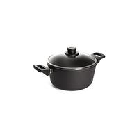 Woll Induction Line Professional Non Stick Cast Aluminium 24 cm Casserole Dish with Lid, 4.5 Litre