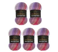 Wollbiene Moonlight Batik 5 x 100g Gradient Wool for Knitting and Crocheting - 500g Turkish Wool (Purple Red Pink)