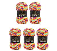 Wollbiene Softy Colour 5 x 100 g Chenille Knitting Wool, Baby Wool, 500 g Super Bulky Wool (Rainbow 119)