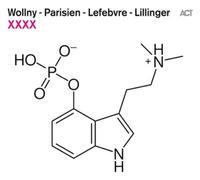 Wollny - Xxxx