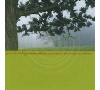 Wolter, Henning -Trio- - Years of a Trilogy