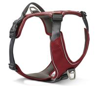 Wolters Dish Active Pro Comfort Red/Anthracite For Dogs, Light & Comfortable
