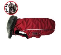Wolters Winter Jacket Amundsen Red For Pugs & Co. Weatherproof, Warm, Stylish