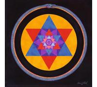 Wolvennest - Void (Clear Vinyl) [VINYL]