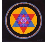 Wolvennest Void (Vinyl) 12" Album (Clear vinyl) (US IMPORT)