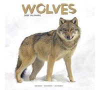 Wolves Calendar 2025 Square Animal Wall Calendar - 16 Month 9781804604557 NEW