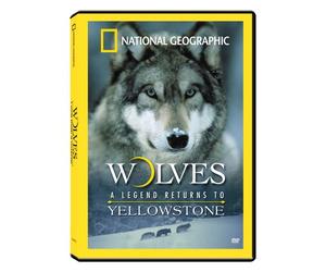 Wolves: A Legend Returns to Yellowstone [DVD] [Region 1] [US Import] [NTSC]