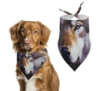 Wolves and Dream Catchers Dog Bandanas for Feeding Grooming, Triangle Pet Bibs for Cats & Dogs Washable Fashion Pets Scarf for Party Travel 27.6 X 11.8 Inch