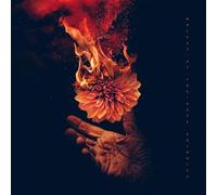 Wolves At the Gate - Eulogies