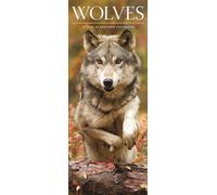 Wolves Deluxe Slim Sunday Start Calendar