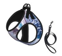 wolves family print Dog Harness and Leash Set, Reflective Adjustable Puppy Vest for Small Medium Large Dogs, Cats