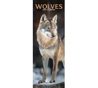 Wolves Slim 2026 Calendar | Slimline Wall Calendar | Animal Gift | Plastic Free Packaging | by Avonside Publishing