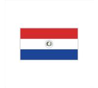Womaha 30 Sheets Paraguay Flag Temporary Tattoos for Kids Adults Fans Fake Face Tattoo Stickers