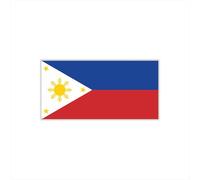 Womaha 30 Temporary Philippines Flag Tattoos for Kids Adults Fans Fake Face Tattoo Stickers