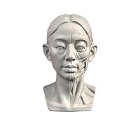 Woman Head Models for Portrait Sketching, Still Life Skulls Drawing Models, Resin Human Manikin Head Sculpture for Medical Drawing Teaching, Resin Plaster Statues 11.5cm (4.5in) (Head & Muscle)