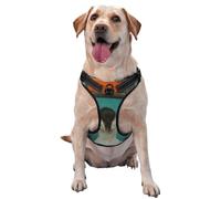 Woman Holding Up An Old Tv No Pull Dog Harness Adjustable Reflective Oxford Easy Control Medium Large Dog Harness