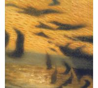 Woman's Day by Ron Miles (1997-03-18)