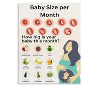Womb Size Chart Prenatal Growth Guide for Midwife Consultation Space