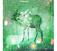 Wombs And Alien Spirits [VINYL]