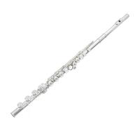 WOMELF Professional Transverse Flute 17-key Open And Closed Hole Dual-purpose Flute E Key Split B-foot Student Beginner Flute