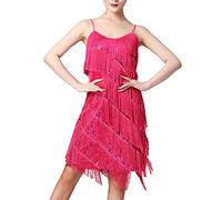 Women 1920s Flapper Fringe Dress Sequin Tassel Dance Costume Lady Salsa Samba Tango Latin Dance Dress Ballroom Sparkly Dancewear for Cocktail Party Pink XX-Large