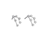 Women 925 Sterling Silver Cz Aquarius Stud Earrings Horoscope Zodiac 12 Constellation Astrology Cartilage Small Sleeper Earrings Jewellery for Mum Sisters Girlfriend