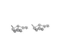 Women 925 Sterling Silver Cz Cancer Stud Earrings Horoscope Zodiac 12 Constellation Astrology Cartilage Small Sleeper Earrings Jewellery for Mum Sisters Girlfriend