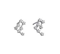 Women 925 Sterling Silver Cz Capricorn Stud Earrings Horoscope Zodiac 12 Constellation Astrology Cartilage Small Sleeper Earrings Jewellery for Mum Sisters Girlfriend