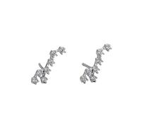 Women 925 Sterling Silver Cz Leo Stud Earrings Horoscope Zodiac 12 Constellation Astrology Cartilage Small Sleeper Earrings Jewellery for Mum Sisters Girlfriend