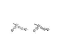 Women 925 Sterling Silver Cz Pisces Stud Earrings Horoscope Zodiac 12 Constellation Astrology Cartilage Small Sleeper Earrings Jewellery for Mum Sisters Girlfriend