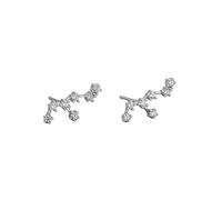 Women 925 Sterling Silver Cz Virgo Stud Earrings Horoscope Zodiac 12 Constellation Astrology Cartilage Small Sleeper Earrings Jewellery for Mum Sisters Girlfriend