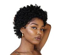 Women Black Wig European and American Wig Female Short Curly Hair African Explosion Head The Hair Afro Curly Explosion Short Wigs (Black 4in)