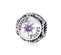 Women Bracelet Charms to fit Pandora Birthstone 925 Sterling Silver 12 Constellations Birthstone Charms for Bracelets(Pisces)