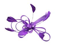 Women Bridal Fascinator Hair Mesh Clips Fashion Hair Accessories Wedding Church Bridal Headwear for Wedding Banquet Party (Purple, One Size)