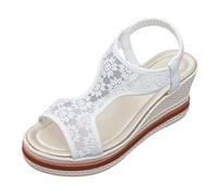 Women Chunky Wedge Sandals Summer Wedges Shoes The Mesh Slope With Sandals Ladies Open Toe Thick Bottom Big Yards Of Europe And The States Roman White Glip Flops Womens Sandles (White,7.5)