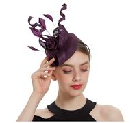Women Fascinator Hat Fashionable Simple Feather Mesh Net Wedding Hats Solid color Elegant Feather Mesh Hair Accessories Retro Simple Ribbons Feathers Wedding Bridal Headdress for (Purple, One Size)