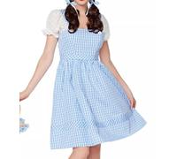 Women Halloween Dorothy Costume Dress Puff Short Sleeve Plaid Lace Trim Dress Fairy Cosplay Gingham A-line Dress(4Blue,Large)