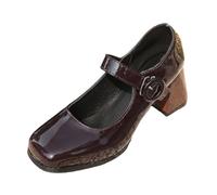 Women Mary Jane Shoes Buckle Strap Chunky Heels Court Shoes Round Toe | Chunky Block Heels Slip-On Soft Insole Comfortable Daily Office Work Shoes for Oktoberfest Celebrations and Casual Daily Wear