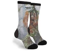 Women Men Cushioned Socks Orangutan Mother'S Love Workout Socks Anti Blister Walking Socks Breathable Crew Socks For Camping Walking Climbing